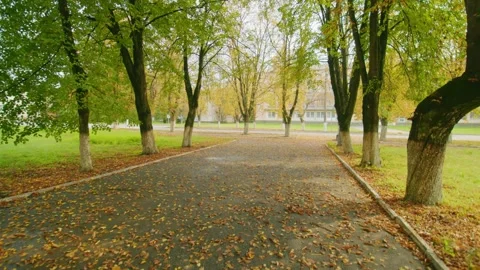 Autumn Path in Chernobyl Exclusion Zone Nature Reclaims Abandoned Area Stock Footage 316853259