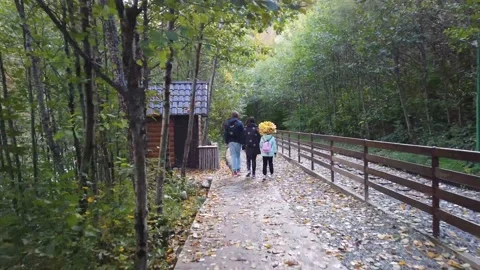 Autumn Path Stock Footage 149187552
