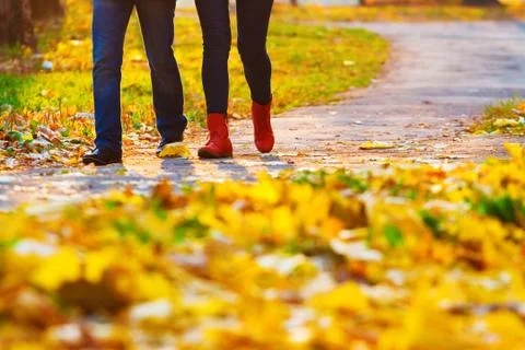 Autumn path in the park Stock Photos