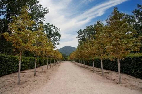 Autumn path in the park Stock Photos