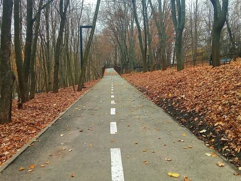 Autumn path in the park Foto stock