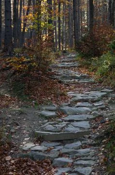 Autumn path paved with stone Stock Photos