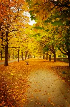 Autumn path Stock Photos