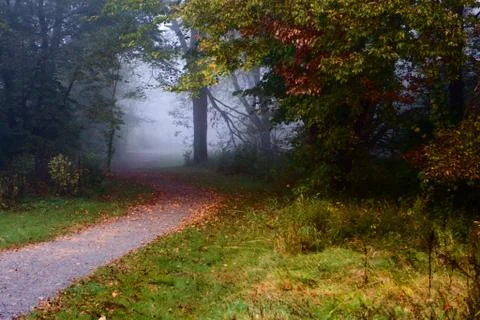 Autumn path Stock Photos