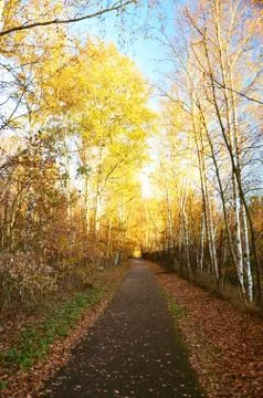Autumn path Stock Photos