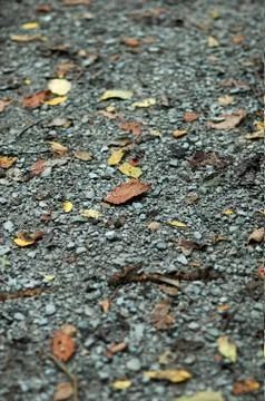 Autumn Path Stock Photos