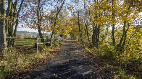 Autumn path 写真素材
