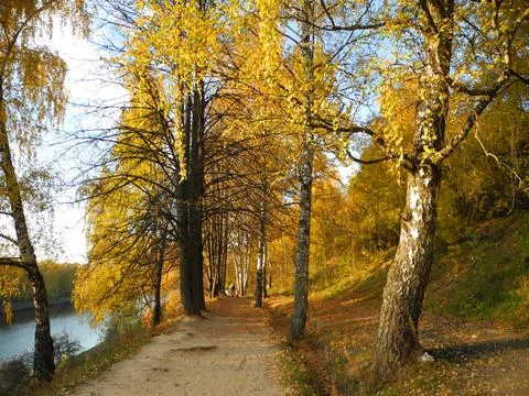 Autumn path Stock Photos