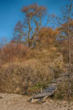 Autumn path through dunes Stock Photos