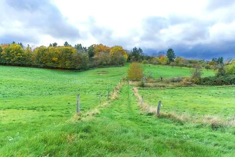 Autumn Path Through Green Fields in Rossdorf Germany Stock Photos