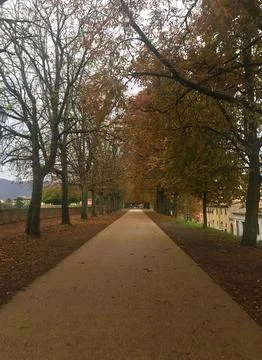 Autumn Path Through Leafy Trees Stock Photos