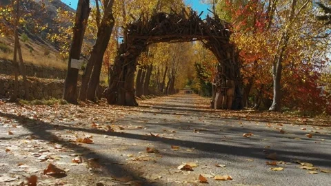 Autumn Path with Tree Arch in Laqlouq Lebanon Stock Footage 345689406