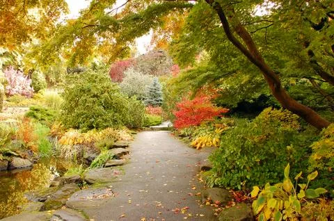 Autumn pathway Stock Photos