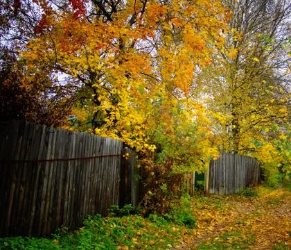 Autumn Pathway Stock Photos