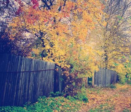 Autumn Pathway Foto stock