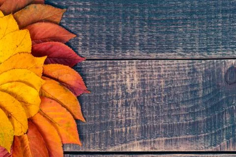 Autumn pattern on the boards Stock Photos