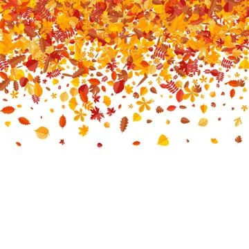 Autumn pattern with bright tree leaves Illustrazione stock