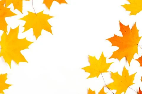 Autumn pattern composition. Pattern made of autumn leaves. Flat lay, top view 写真素材