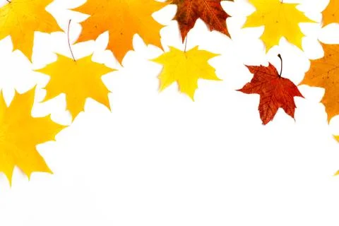 Autumn pattern composition. Pattern made of autumn leaves. Flat lay, top view Stock Photos