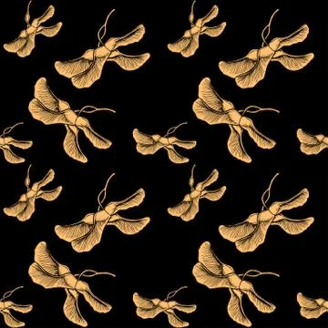 Autumn pattern with dried maple seeds on black background for fabric Stock Photos