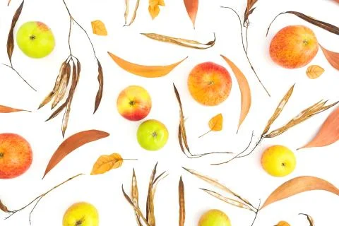 Autumn pattern with fall leaves and apple fruits on white background. Flat la Stock Photos