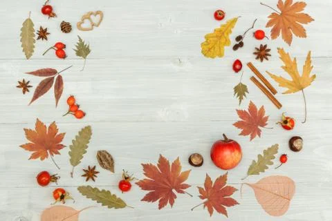 Autumn pattern frame of dried leaves, rosehip berries, anise, cinnamon and two Stock Photos