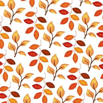 Autumn pattern with leafs nature Stock Illustration