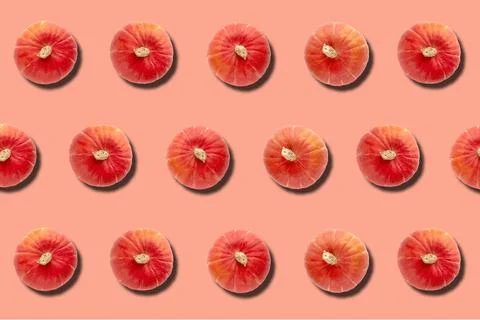 Autumn pattern made of pumpkins pink background. Template mockup fall, hallow Stock Photos