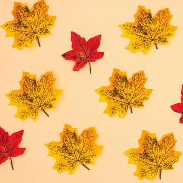Autumn pattern made of yellow and red maple leaves on beige background. Fall  Stock Illustration