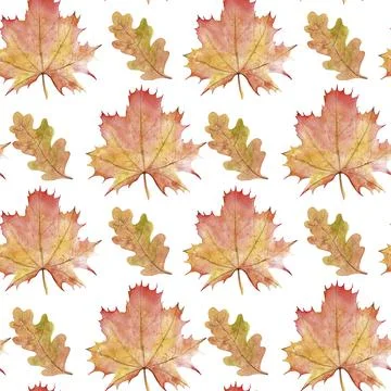 Autumn pattern with maple and oak Leaves Illustrazione stock