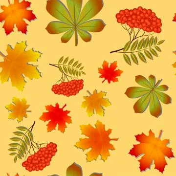 Autumn pattern with maple leaves and Rowan Illustrazione stock