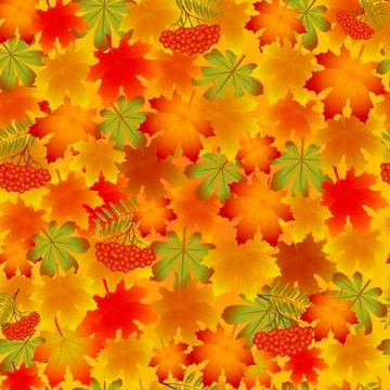 Autumn pattern with maple leaves and Rowan Illustrazione stock