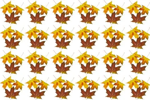 Autumn pattern of maple yellow orange brown leaves Stockillustratie
