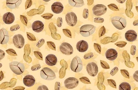 Autumn pattern. Nuts on a light yellow pastel background with autumn maple le Stock Photos