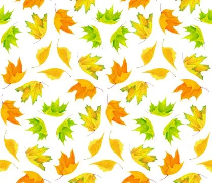 Autumn pattern Stock Photos