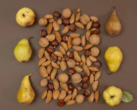Autumn pear and nut pattern on brown background Stock Photos