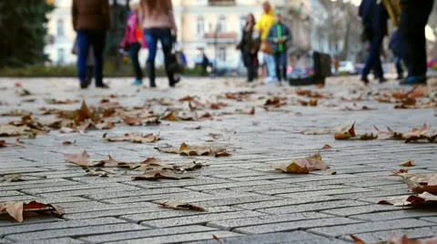 Autumn. People Walking. Видео 57462622