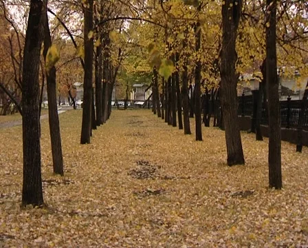 Autumn Perspective 2 Stock Footage 1929089