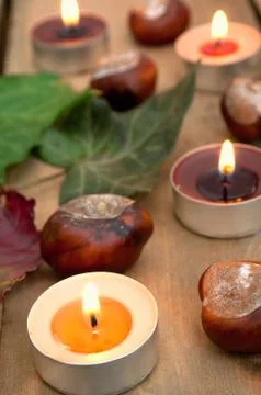 Autumn Stock Photos