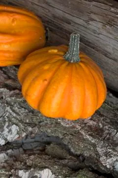 Autumn Stock-Fotos