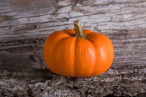 Autumn Foto stock