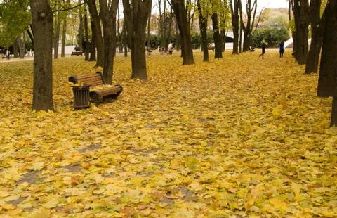 Autumn Stock Photos