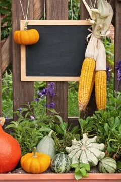 Autumn Stock Photos