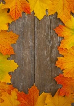 Autumn Stock Photos