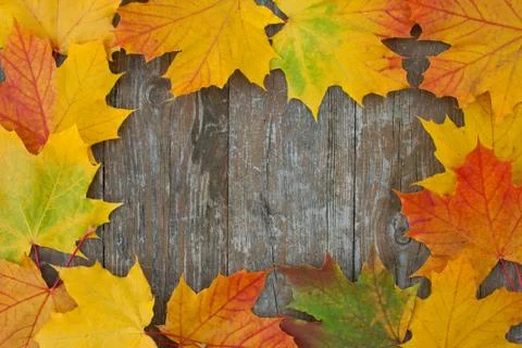 Autumn Stock Photos