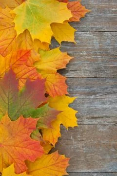 Autumn Stock Photos