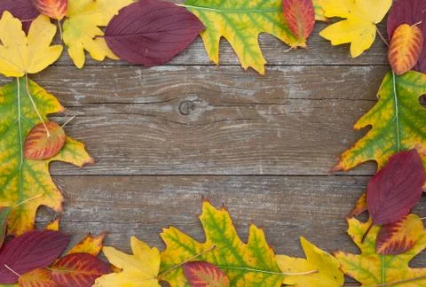 Autumn Stock Photos