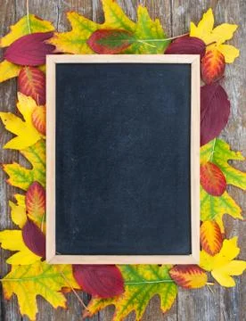 Autumn Stock Photos