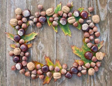 Autumn Stock Photos