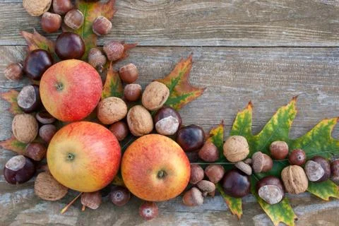 Autumn Stock Photos